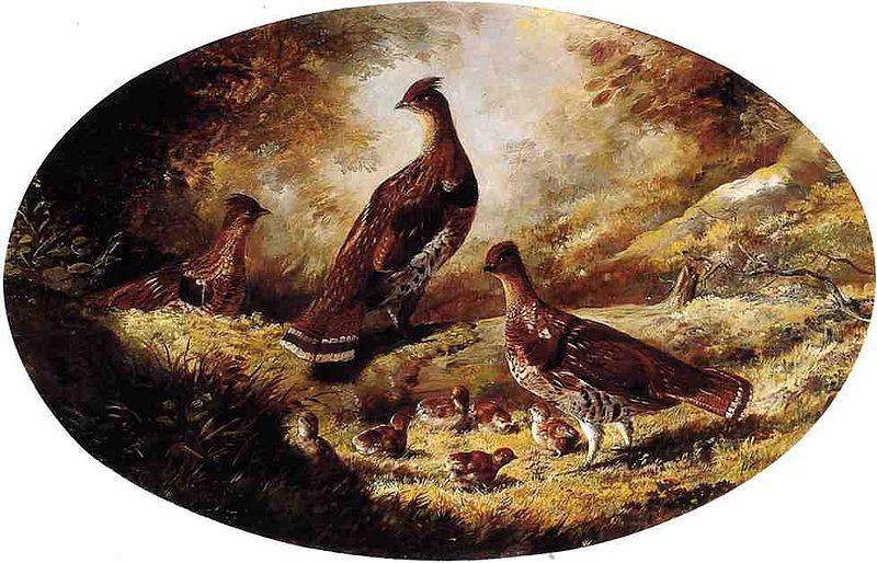 Ferdinand Richardt Grouse Family